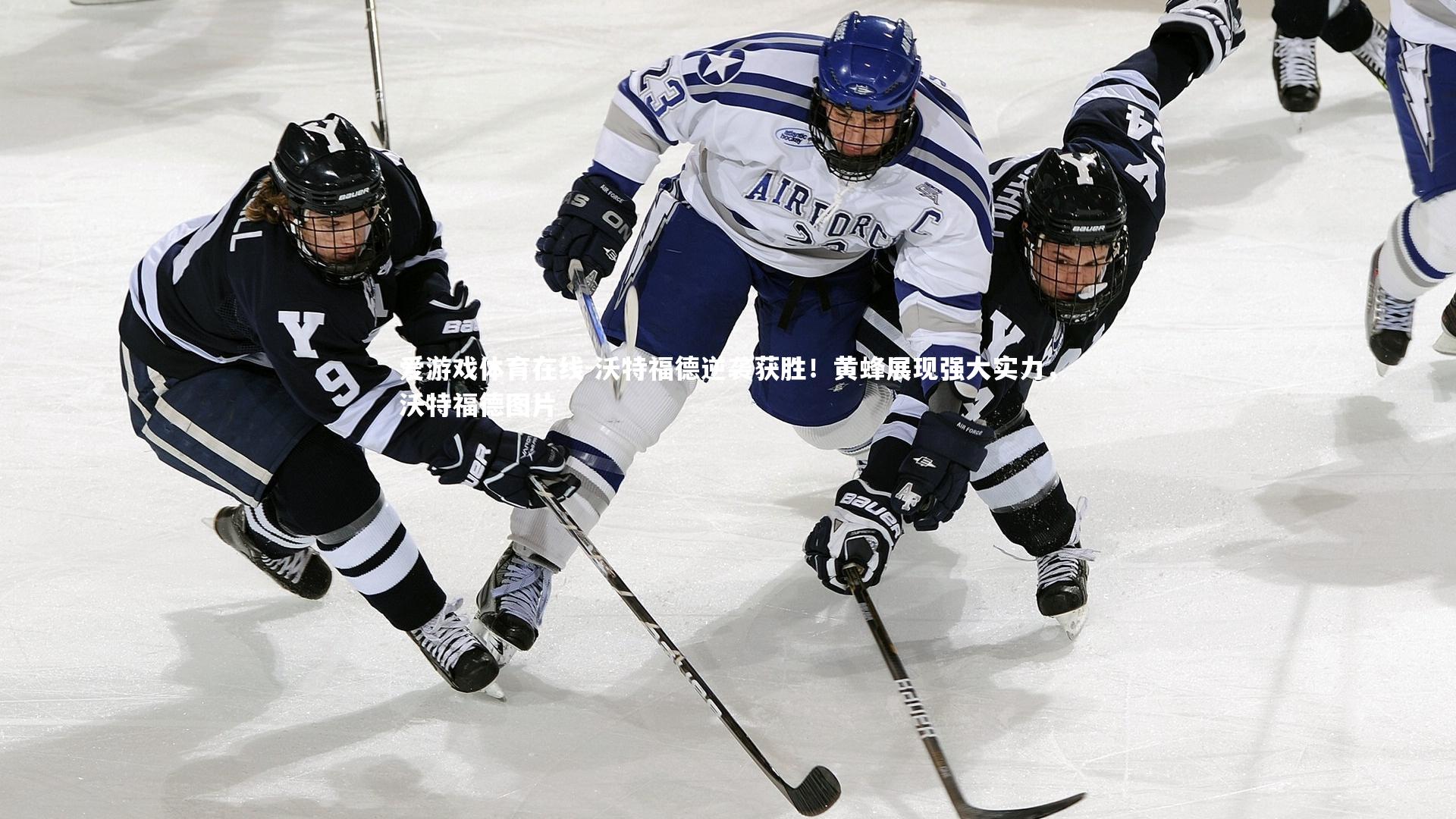 沃特福德逆袭获胜！黄蜂展现强大实力，沃特福德图片