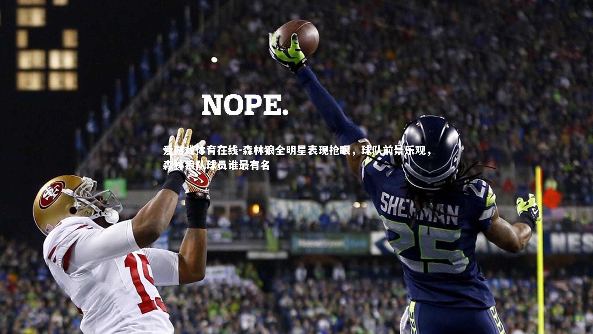 森林狼全明星表现抢眼，球队前景乐观，森林狼队球员谁最有名